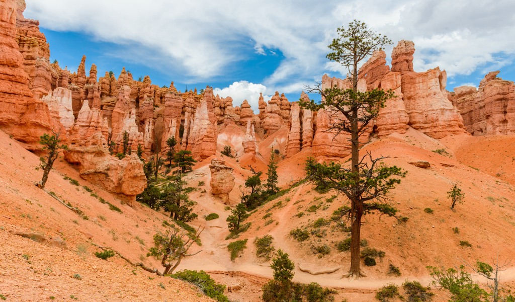 Живописный Брайс-Каньон под красивым небом, штат Юта, США