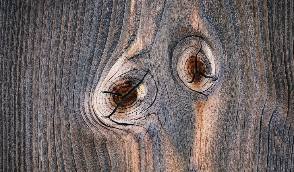 Следы от сучков с деревянной доске 