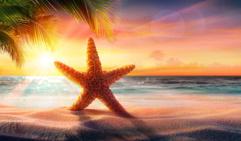 Красивая морская звезда на песке в лучах яркого солнца
