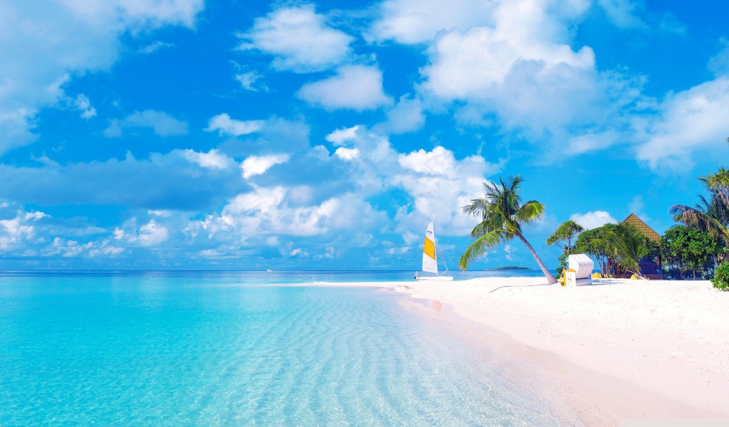 Красивый тропический пляж  с желтым песком под голубым небом