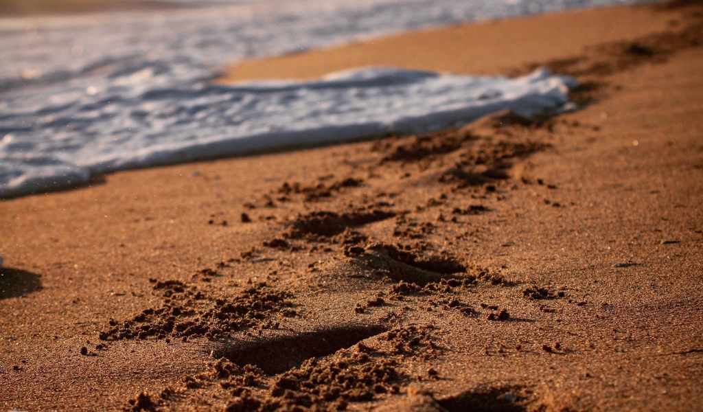 Следы на мокром морском песке с белой пеной