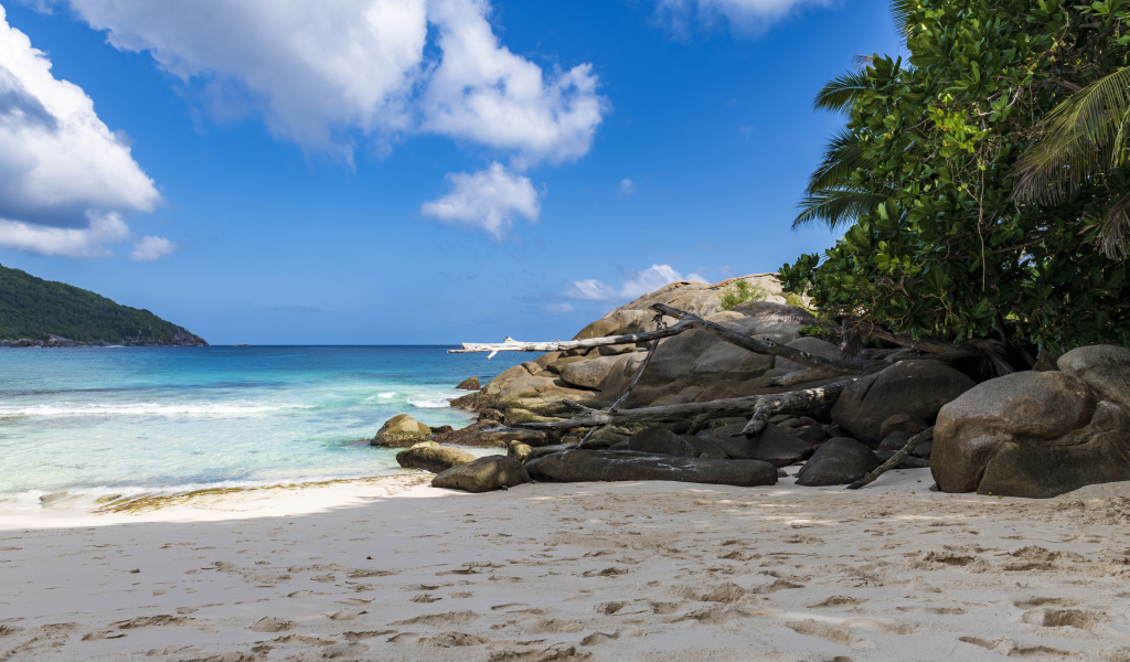 Камни на берегу океана на желтом песке под голубым небом