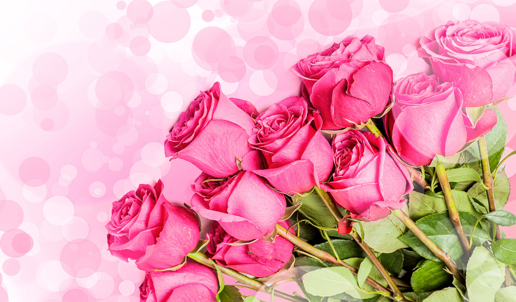 Букет розовых роз на фоне с розовыми кругами 