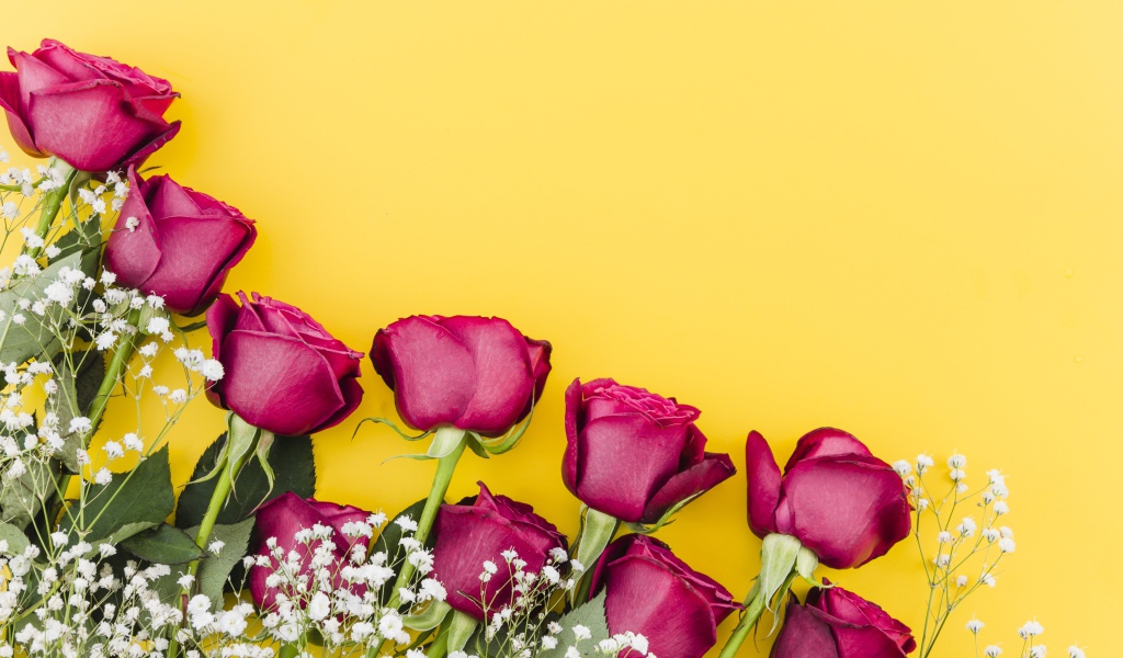 Букет роз с белыми цветами гипсофилы на желтом фоне