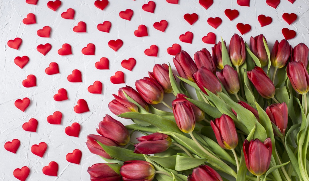 Большой букет красных тюльпанов на белом фоне с маленькими красными сердечками