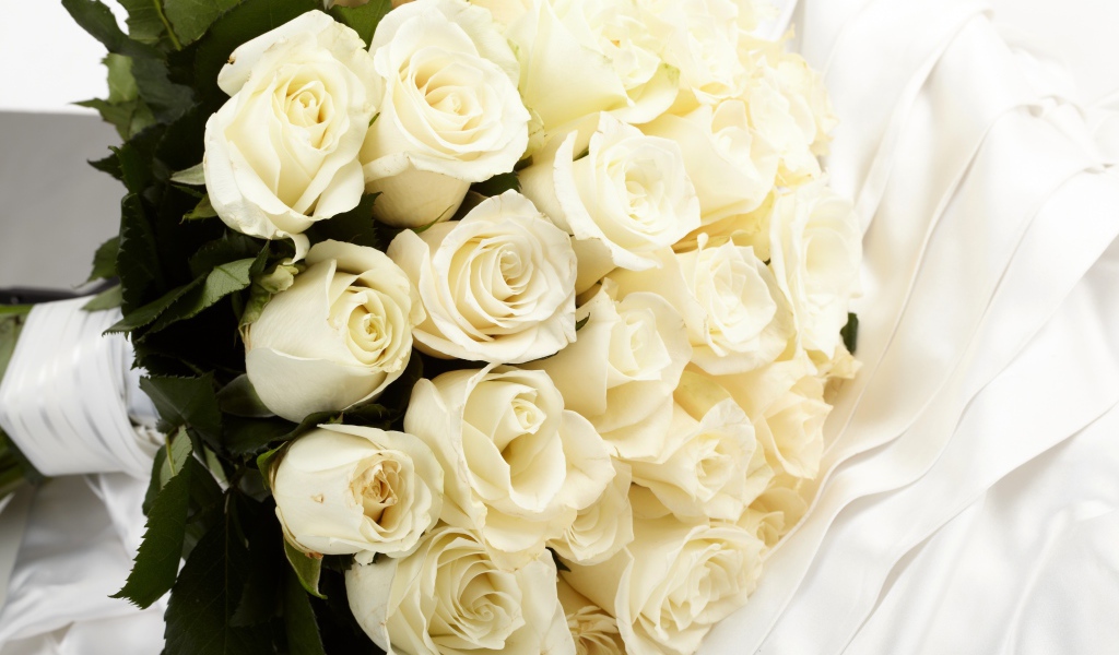 Большой букет белых роз на белой ткани