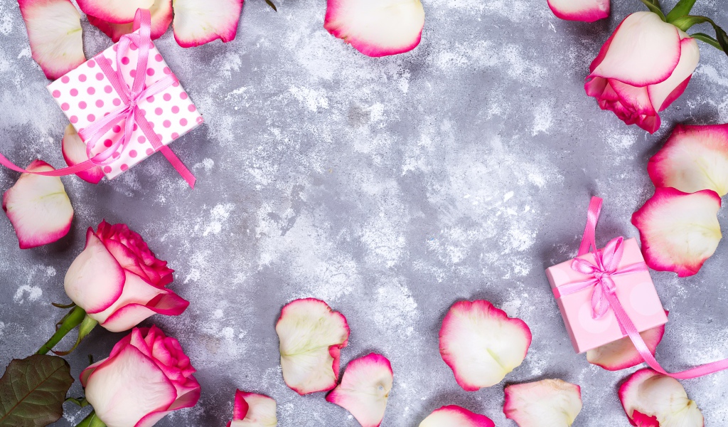 Красивые розовые розы с лепестками и подарками на сером фоне