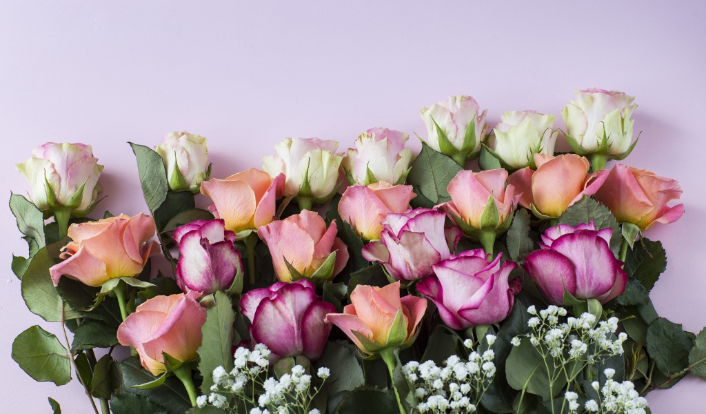 Красивый нежный букет разноцветных роз на сиреневом фоне