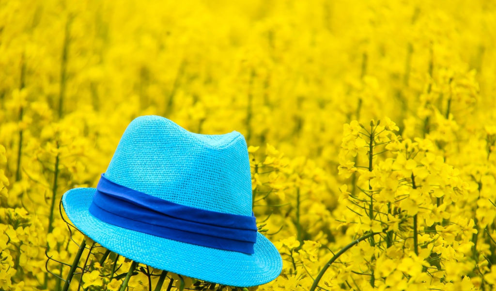 Голубая шляпа лежит на желтых цветах 