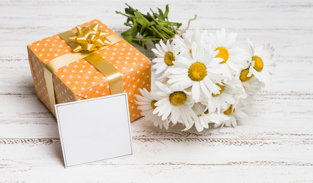 Букет ромашек с подарком и шаблоном для открытки 