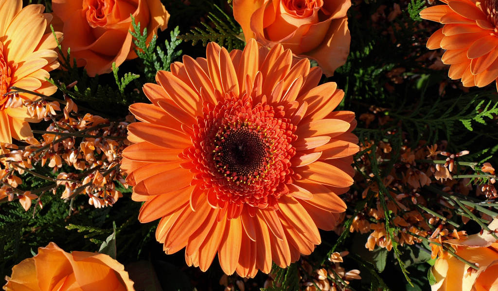 Букет оранжевых гербер с розами 