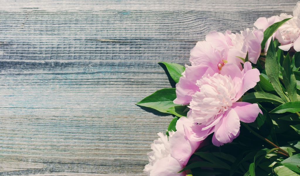 Букет розовых весенних пионов на деревянной поверхности 