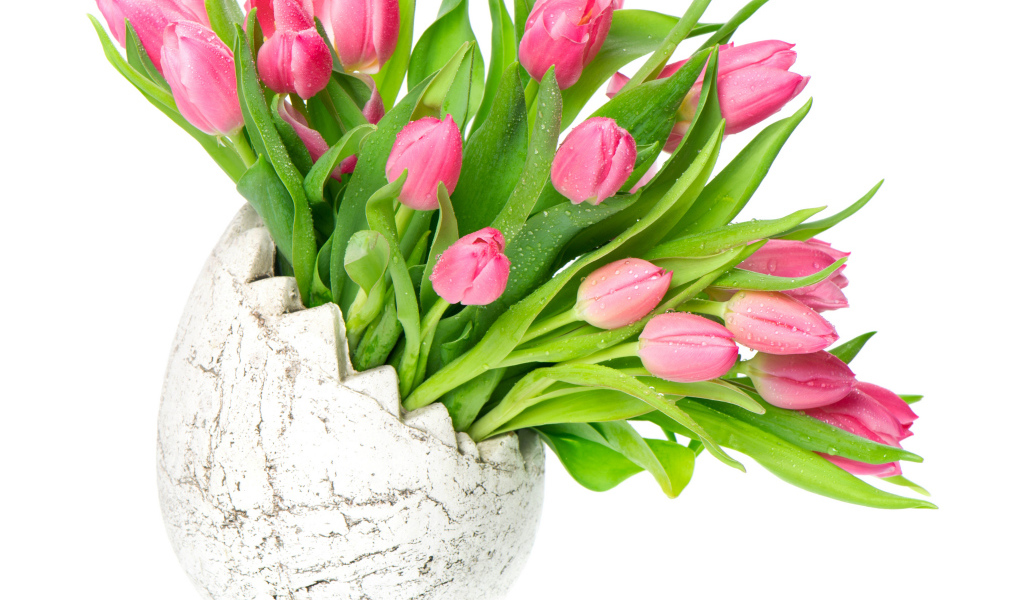 Букет розовых тюльпанов в вазе на белом фоне