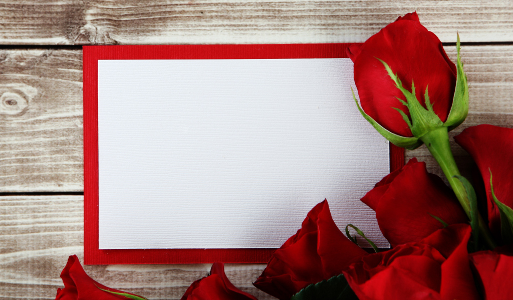 Букет роз  с листом бумаги в рамке фон для поздравительной открытки