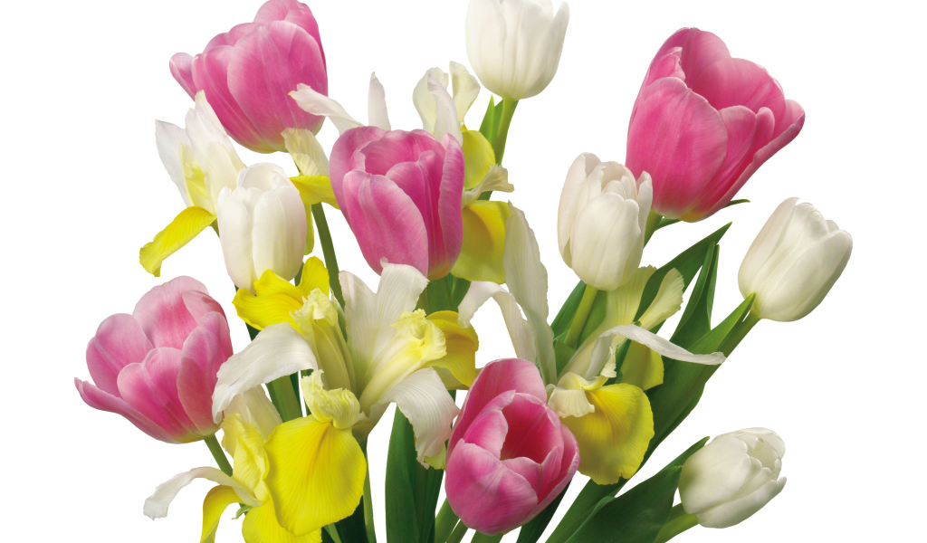 Букет желтых и розовых тюльпанов и ирисами на белом фоне