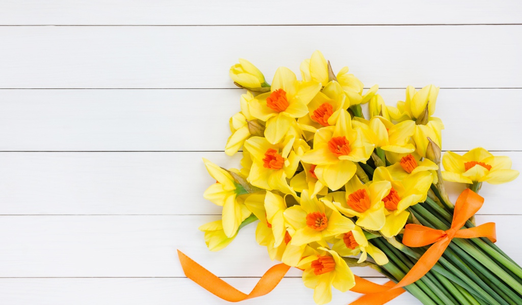 Букет желтых нарциссов с бантом на сером фоне