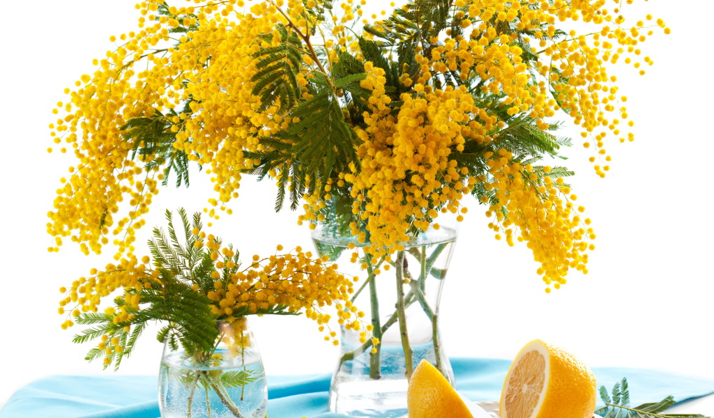 Букет желтой мимозы в вазе на столе с лимоном