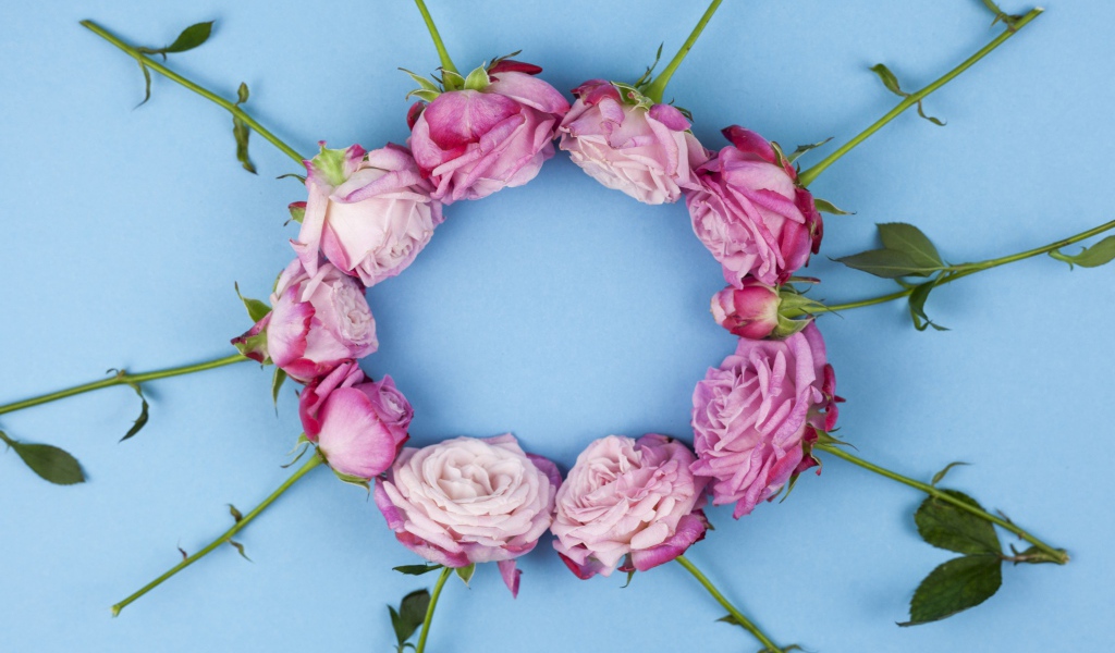 Круг из розовых роз на голубом фоне