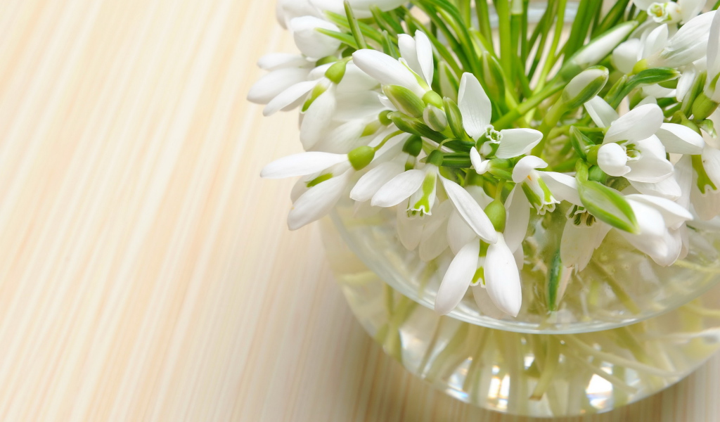 Нежные весенние первоцветы подснежники в стеклянной вазе