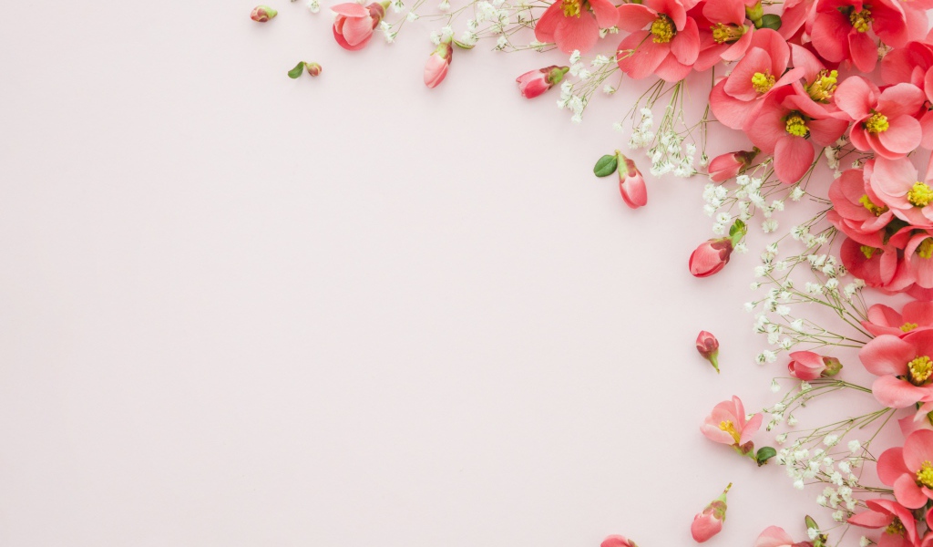 Серый фон с розовыми весенними цветами