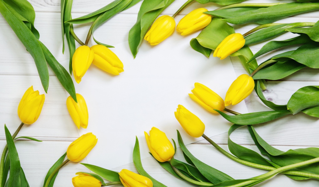 Много желтых тюльпанов с зелеными листьями на сером столе