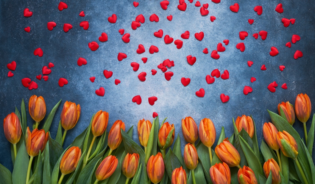 Оранжевые тюльпаны на сером фоне с красными сердечками