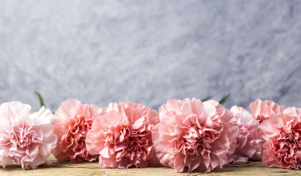 Розовые гвоздики лежат на деревянном столе