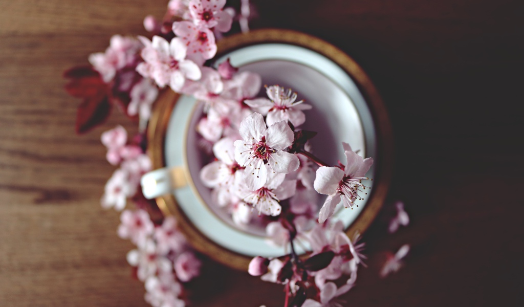 Розовые цветы в чашке на столе 