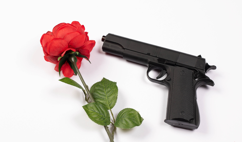 Красная роза и черный пистолет на белом фоне