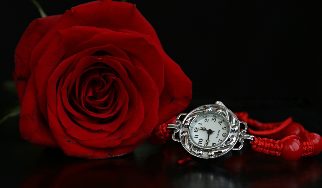 Красная роза с часами на черном фоне