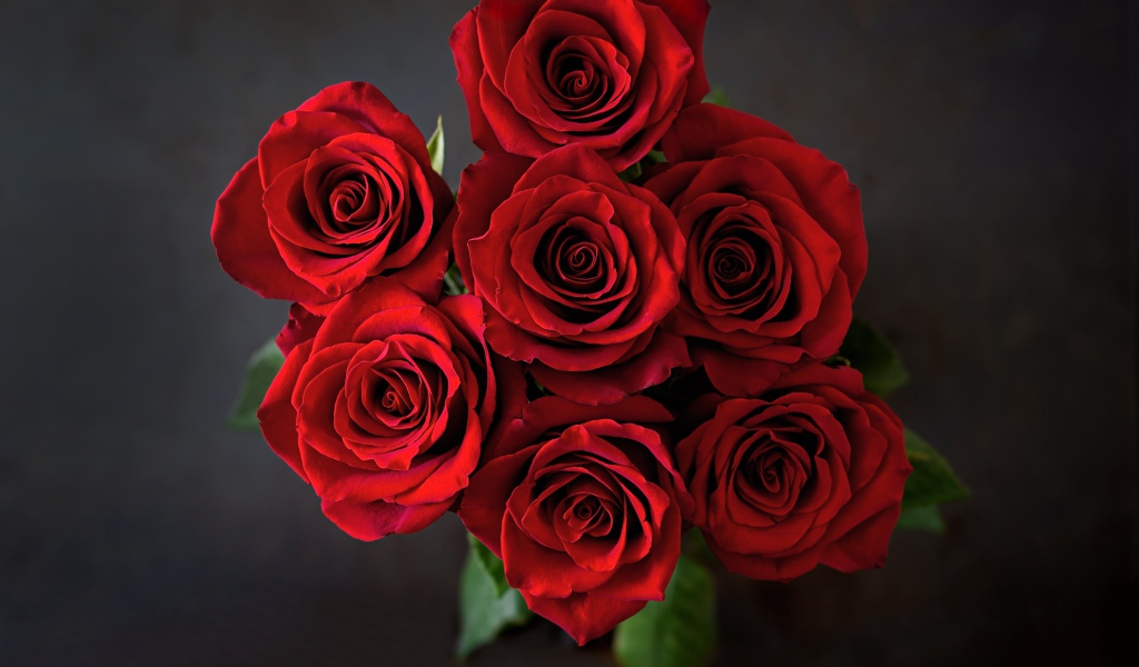 Букет красных роз вид сверху на сером фоне 