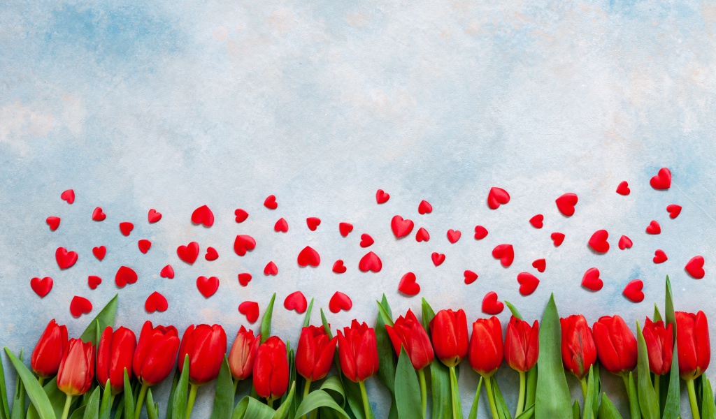 Красные тюльпаны на голубом фоне с красными сердечками