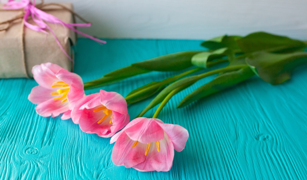 Три розовых тюльпана на голубом столе с подарком
