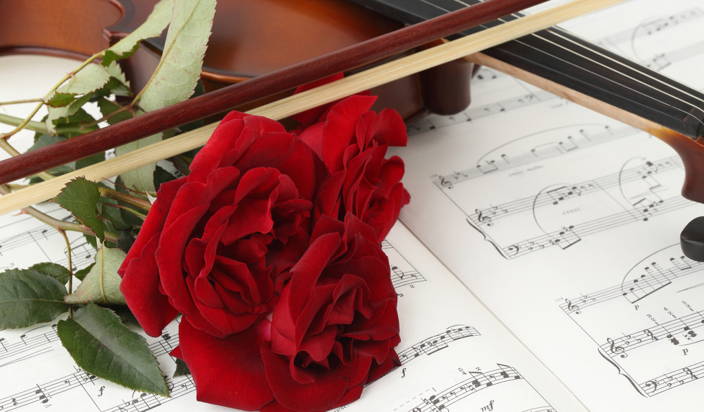 Три красных розы на нотах со скрипкой 
