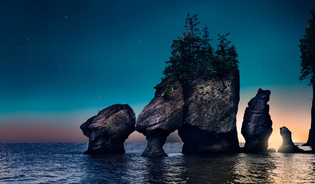 Rocks with trees in the water at night