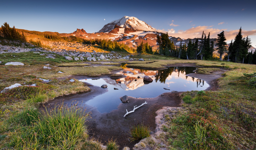 Заснеженная гора  у леса под голубым небом в лучах солнца