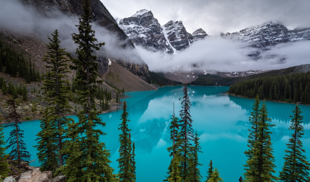 Туман над голубой водой озера в горах у леса