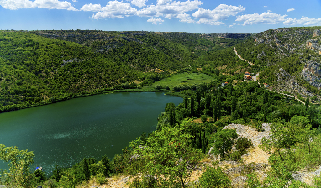 Озеро в живописном зеленом парке под голубым небом 