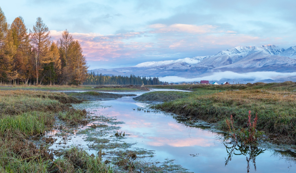 Река у леса на фоне гор под красивым небом