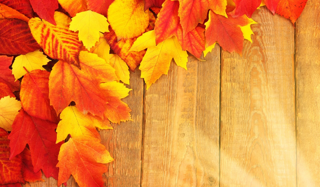 Оранжевые листья на деревянном столе осенью