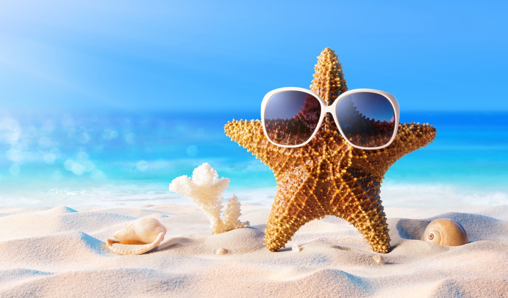 Морская звезда в очках на песке у моря летом