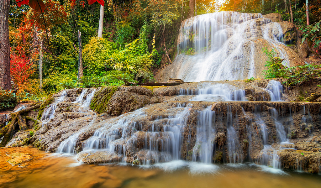 Белая быстрая вода водопада стекает по земле в лесу