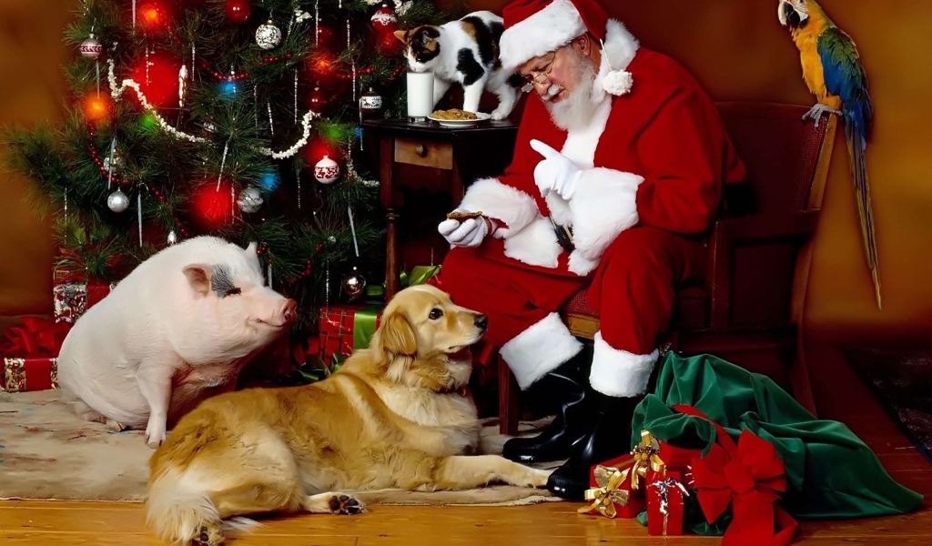 Санта Клаус с собакой, свиньей и котом у новогодней елки
