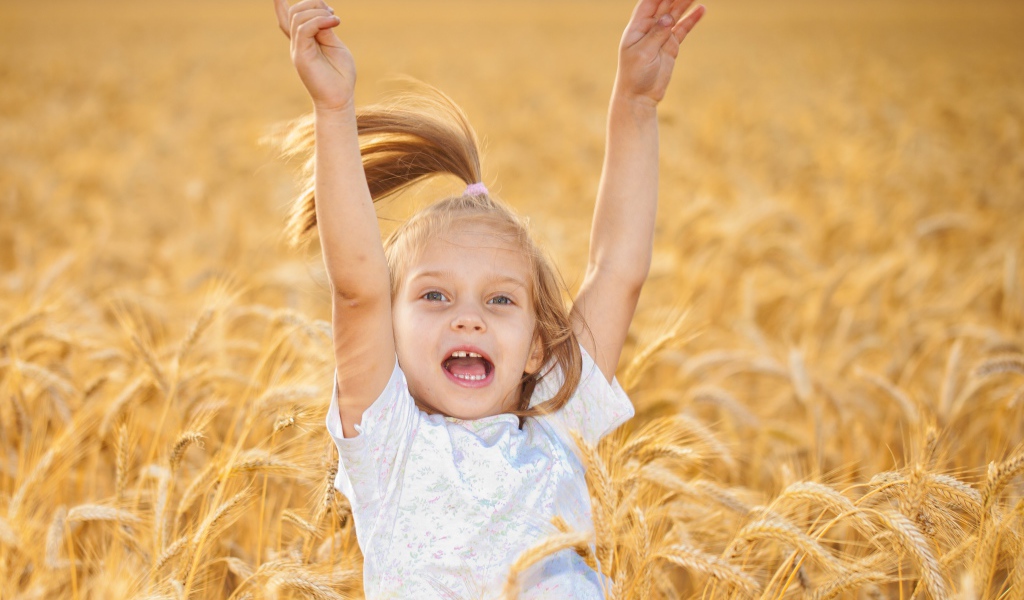 Маленькая веселая девочка в желтой пшенице