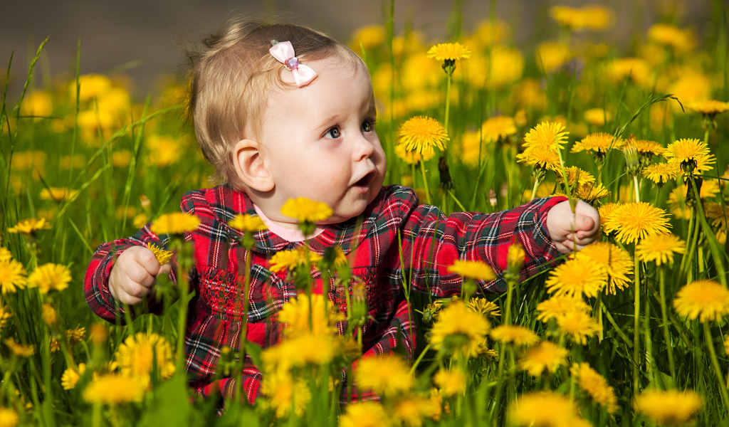 Маленькая милая девочка сидит в желтых одуванчиках