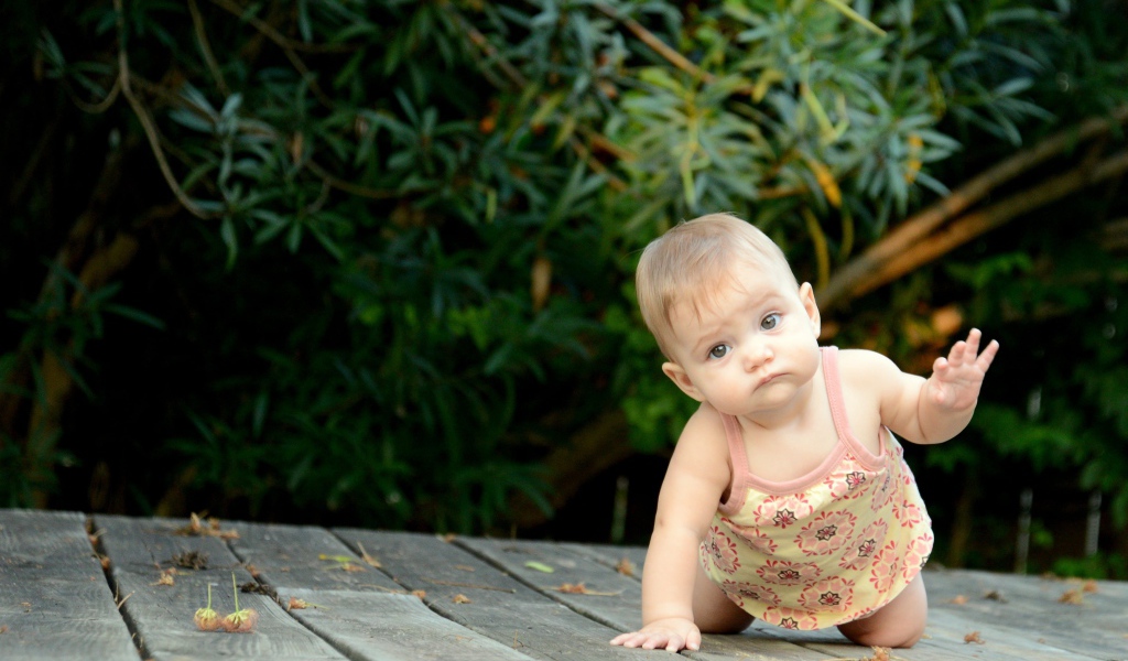 Маленькая девочка ползет по деревянному мосту