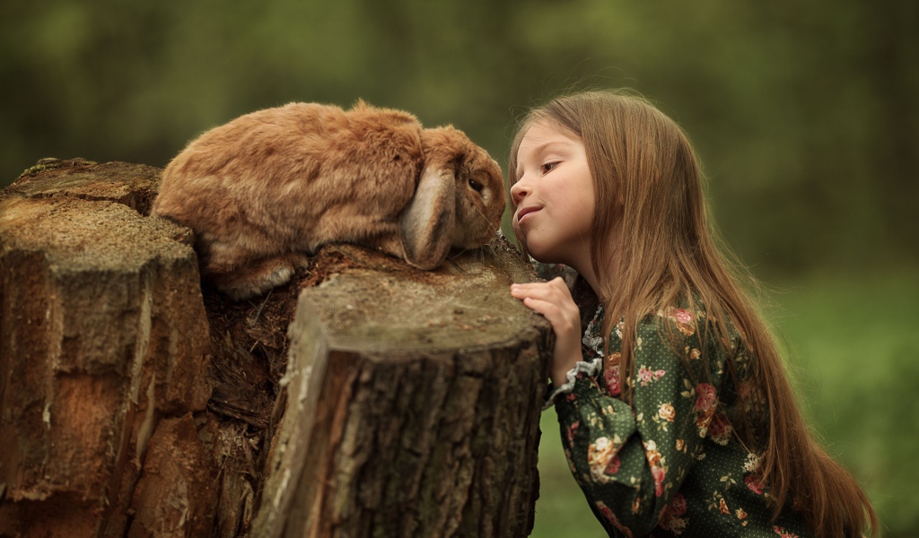 Маленькая девочка смотрит на декоративного кролика