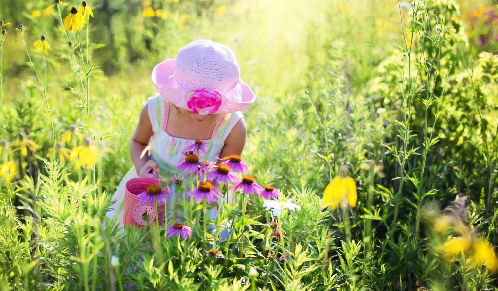 Маленькая девочка на поляне с розовыми цветами эхинацеи 