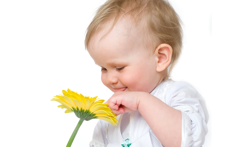 Улыбающийся малыш с желтым цветком герберы на белом фоне