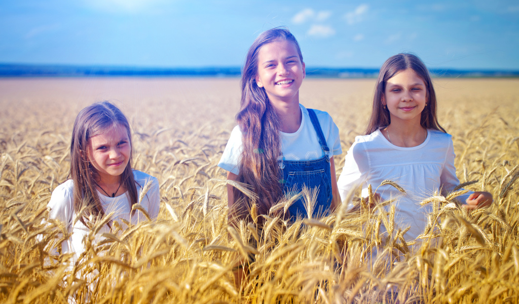 Три девочки на поле с желтой пшеницей